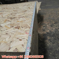 Ruban d'osb3, panneau de lamelles de bois massif 9mm 10mm 11mm pour la Construction, vente en gros