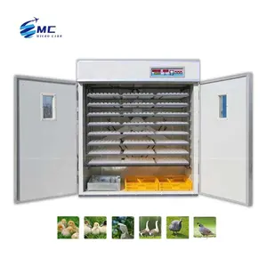 Factory direct supply for chicken automatic 5000 incubator incubators 100 egg capacity Egg Incubators supplier