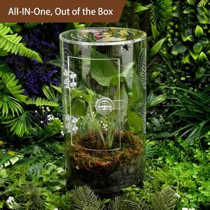 Enceinte acrylique sautant araignée <span class=keywords><strong>insecte</strong></span> Terrarium pour petit arbre habitation Reptiles boîtes de rangement bacs - Product Image 4