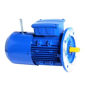Motor Asíncrono Trifásico con Frenado YEJ OEM ODM de 0.37KW para la Industria Textil, Inducción IP54/IP55 - Product Image 3