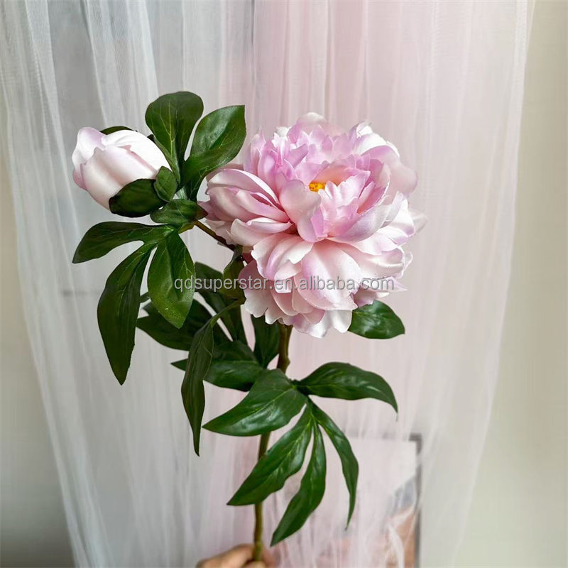 Pourpre
