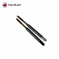 TAIRAY HSS-E TIN Coated Machine Tap M2x0.4 Trousseaux de taraudage métriques à pointe spirale pour acier inoxydable