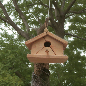 Casa para Pájaros y Comedero para Pájaros Hechos a Mano con Madera de Tronco, Nido Colgante Natural para Colibríes y Mascotas (Hámsteres) para Jardín Exterior - Product Image 4