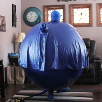 Combinaisons gonflables en PVC personnalisées en forme de myrtille, offre promotionnelle, ballon gonflable en forme de myrtille, publicité gonflable