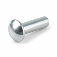 Rivets aveugles à tête ronde DIN 660 en acier inoxydable classe 51, zingués, fixation industrielle pour assemblage, directement de l'usine