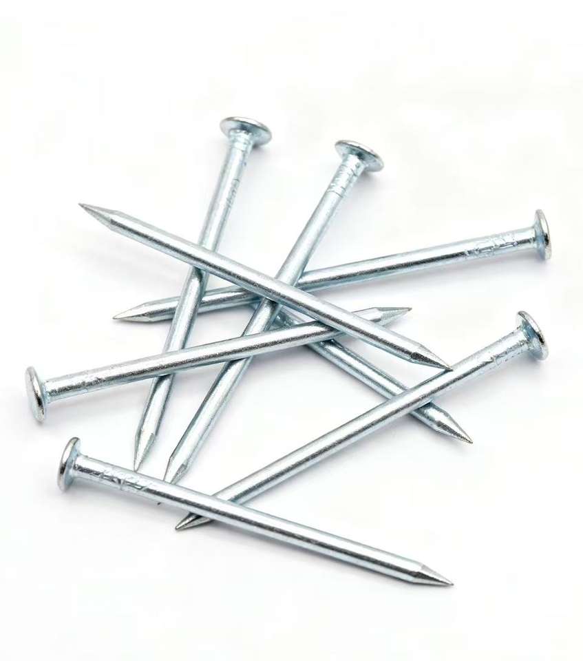 Nail Assortment Polished Steel Common Wire Smooth Shank Type Nails Iron ...