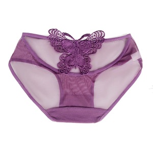 Nuovi slip in rete trasparente da donna ricamo a farfalla femminile vedere attraverso la biancheria intima pura Lingerie donna mutande traspiranti - Product Image 6