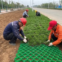 Stabilisation des routes, pavés en plastique HDPE de 500 mm * 500 mm * 50 mm, pavés pour allée, grille de sol, gravier pour la pose de dalles de béton