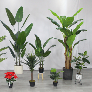 ต้นกล้วยเทียมต้นไม้สวรรค์พืชเทียม - Product Image 4