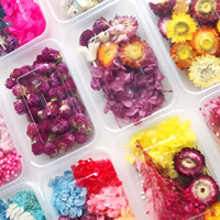 Kotak Hadiah Bunga Kering Terawetkan, Perlengkapan Bunga Asli untuk Ornamen Resin Buatan Tangan, Dekorasi Bingkai Dinding