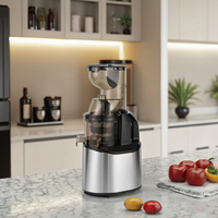 Roestvrijstalen Fruit Citrus Sinaasappel Afzuigmachine Blender Slow Juicer Commerciële Elektrische Koude, Langzame Verse Smoothie Voor Thuis