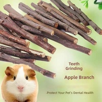 Bâtonnets de bois séchés pour hamsters, lapins, chinchillas – Jouet à mâcher pour petits animaux – Vente en gros