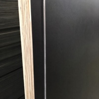 Plateforme d'échafaudage en contreplaqué filmé noir E1 4x8FT pour projets de construction d'hôtels et de villas - Vente en gros usine