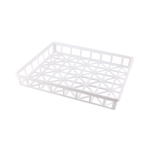 Tissue Culture Basket Plastic Propagation Tray Seedling Nursery Box Frame Rack <b>Lab</b> <b>Supply</b> Sterile Plant Growth Container - Product Image 6