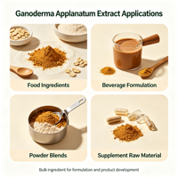 Extrait de Ganoderma Applanatum sauvage en poudre 20:1