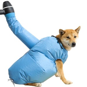 Sèche-cheveux universel transfrontalier pour animaux de compagnie et sac de séchage pour chats et chiens – Séchage rapide après le bain - Product Image 1