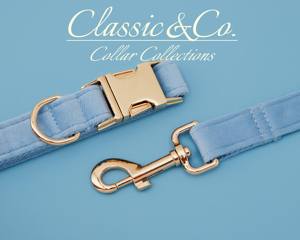 Collier et laisse pour chien personnalisés avec nom gravé, boucle en métal bleu ciel, clochette et nœud, livraison gratuite - Product Image 4