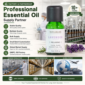 Approvisionnement en gros d'<span class=keywords><strong>huile</strong></span> <span class=keywords><strong>essentielle</strong></span> d'orange douce naturelle de 15 ml, 12 senteurs populaires, étiquette privée OEM, vente en gros pour les grossistes - Product Image 6