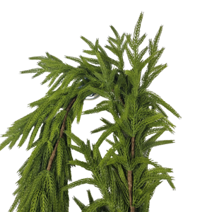 Guirlande suspendue en pin de <span class=keywords><strong>Norfolk</strong></span> au toucher réel, décoration de Noël, guirlande de cyprès, faux - Product Image 1