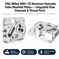 Placa de Colector de Válvulas Hidráulicas de Aluminio 6061-T6, Fabricación CNC Personalizada OEM, Equipos Industriales, Canales de Flujo Internos, Roscas para Tuberías