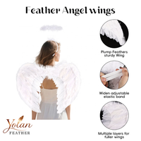 Ailes d'ange en plumes naturelles légères pour adulte, idéales pour Halloween, cosplay, fête, spectacle et déguisement.