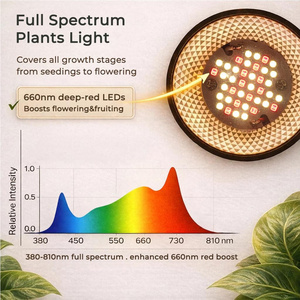 Potente Lampada per Piante Indoor 40W E27 a Spettro Completo, Luce di Coltivazione per Serra, Bonsai e Orchidee con Alto PPFD - Product Image 4