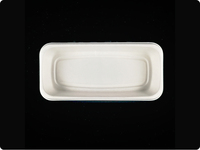 Assiettes jetables biodégradables en bagasse de canne à sucre pour plats à emporter, barquettes rectangulaires pour gâteaux d'anniversaire, assiettes alimentaires jetables pour barbecue