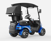 Voiturette de golf électrique à batterie au lithium 48V, autonomie de 30 km, robuste, monoplace, avec phare LED pour terrain de golf et complexe hôtelier