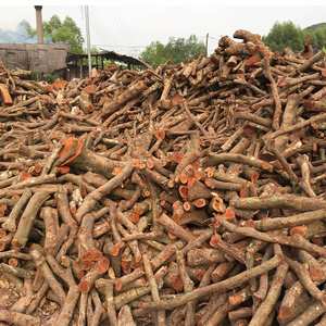 Palo de carbón Binchotan de grado fino japonés, patrón de briket blanco de eucalipto hecho en Vietnam - Product Image 6