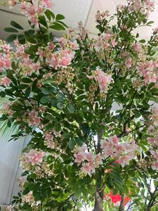 Albero Decorativo di Fiori di Prugna in Seta Naturale, Fiori in Lattice, Albero Artificiale di Fiori di Prugna per Decorazioni Casa, Matrimoni e Feste - Product Image 2