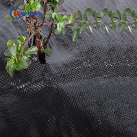 Vente en gros de couverture de sol en tissu pour barrière de jardin Tapis de désherbage en tissu anti-UV