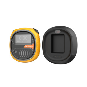 Detektor Gas metana genggam MS104K-S, pendeteksi Gas tunggal portabel, tipe difusi daya sangat rendah, tahan air IP68 - Product Image 1