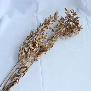 Bestseller Fiori Secchi Naturali Ruscus Erba del <span class=keywords><strong>Sangue</strong></span> <span class=keywords><strong>di</strong></span> Drago Ornamenti Floreali per <span class=keywords><strong>San</strong></span> <span class=keywords><strong>Valentino</strong></span> - Product Image 4