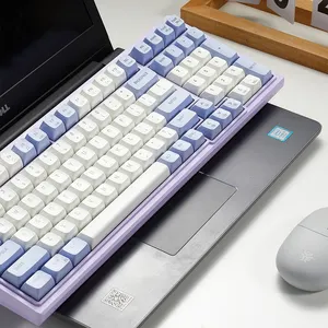 Hexgears M4 Mechanical Keyboard Wired 99 Keys Detachable Cable Hot Swappable Kailh Switch Multimedia Keys