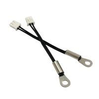 Pengisi Daya Bms Kustom Termistor NTC Sensor Suhu NTC untuk Paket Baterai untuk Sistem Tenaga Surya