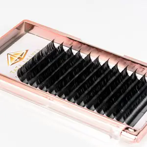 Factory supply J B C D CC DD Curl silk Eyelash single eyelash extension individual eyelashes