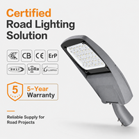 Lampadaire LED 90 à 160 lm W IP65 IK08, éclairage routier extérieur 15 W à 200 W, durée de vie de la lampe 50 000 h