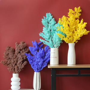 Helechos <span class=keywords><strong>Ming</strong></span> rojos conservados, espárragos naturales conservados, flores secas de Myriocladus para decoración del hogar, arreglos florales festivos, hojas - Product Image 6