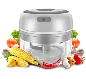 Frullatore per alimenti Mini tritatutto elettrico senza fili per frutta e verdura