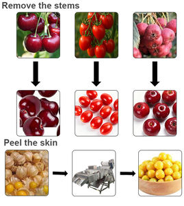 Venta Directa de Fábrica, Desestamador de Cerezas Personalizado, Máquina para Eliminar Tallos de Cereza, Hecho en China - Product Image 2