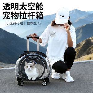 กระเป๋าใส่สัตว์เลี้ยงแบบแคปซูลอวกาศ วัสดุ PC รูปทรงกลม รับน้ำหนักได้ 7 กก. ขึ้นไป สำหรับแมวและสุนัข พกพาสะดวก - Product Image 1