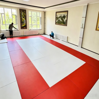 Tapete Profesional de Judo de Alta Densidad, Tapete de Espuma EVA para Artes Marciales, Tapete Entrelazado para Ejercicios de MMA, Tapete de Entrenamiento para Gimnasio y Dojo