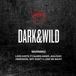 BTS-Dark & Wild 1er Álbum Completo (CD Oficial de K-pop) - Product Image 2