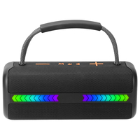 WESDAR PartyBeam RGB Portable pour Enceinte – Son Stéréo 60W, Aux, Autonomie 8 Heures, Basses Puissantes pour Fêtes en Extérieur et à Domicile