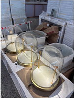 Vitrine à bijoux en verre avec éclairage LED, base dorée, cloche de présentation pour collier, bague, boucles d'oreilles, présentation en magasin