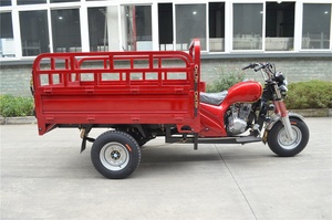 Chino 150 CC <span class=keywords><strong>de</strong></span> aire <span class=keywords><strong>de</strong></span> refrigeración del <span class=keywords><strong>Motor</strong></span> del <span class=keywords><strong>triciclo</strong></span>/adulto tres <span class=keywords><strong>Triciclo</strong></span> <span class=keywords><strong>de</strong></span> <span class=keywords><strong>Motor</strong></span> para la <span class=keywords><strong>venta</strong></span> - Product Image 3