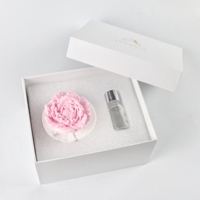 Diffuseur de parfum d'ambiance en céramique et porcelaine en forme de fleur, désodorisant en plâtre aromatique, diffuseur à bâtonnets d'huiles essentielles avec boîte cadeau blanche