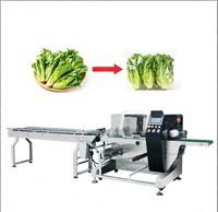 Dezoton Multifunctionele Automatische Horizontale Fruit- en Groenteverpakkingsmachine, Verpakkingsmachine voor verse levensmiddelen in kussenvormige zakken
