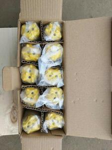 Botón de roca boors de carburo de tungsteno broca roca 11 grado piedra herramientas de perforación botón cónico poco afilador - Product Image 4