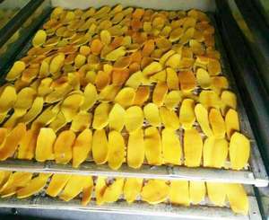 DWT-2-10 förderer kommerzieller Obst-und Gemüse trockner - Product Image 1